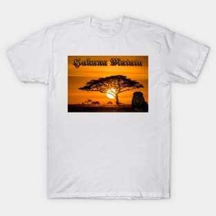 Hakuna-Matata T-Shirt